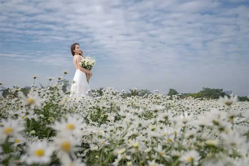 Red River Dyke / Flower Park - Hot spots for photography, camping, and picnics in Hanoi